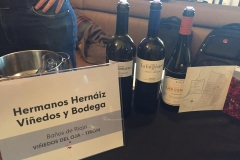 i-salon-de-riojas-de-pueblo-en-madrid-5